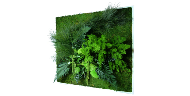 © www.greenbop.de